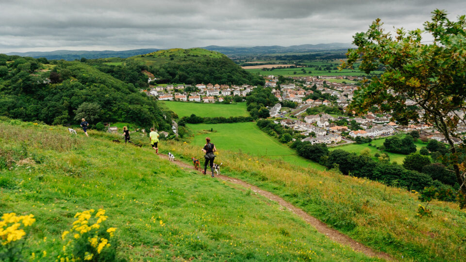 Prestatyn-Hillside-Dog-Walk-Visit-Wales