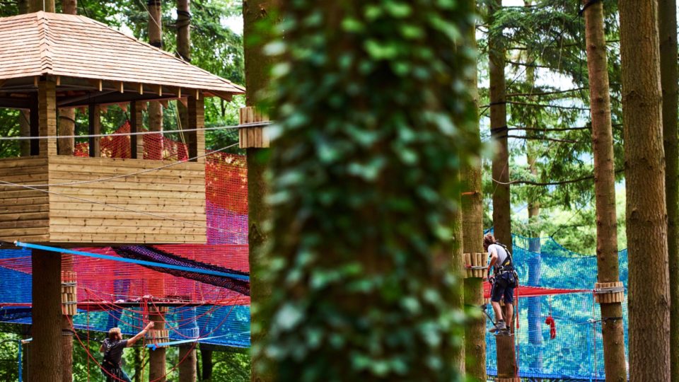 Zip world Fforest