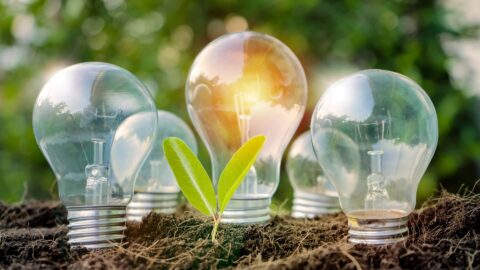 Energy Efficiencies Beaches