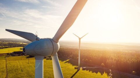 Renewable Energy Beaches