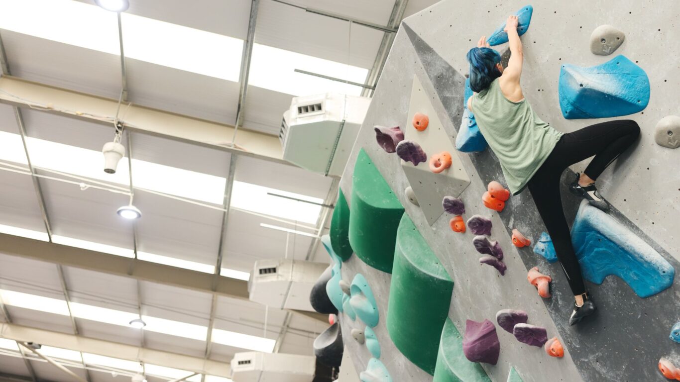 Adventure Parc Snowdonia