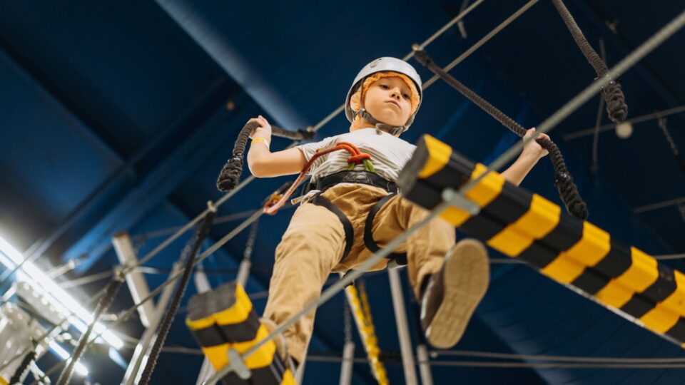 ZipWorld Stock