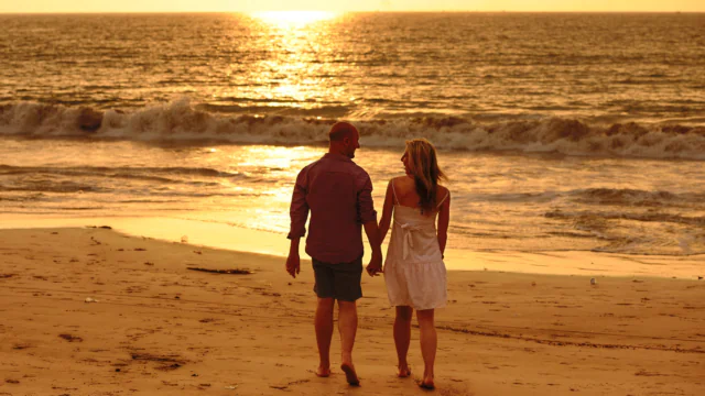 Seasaver 2025 1920 x 1080